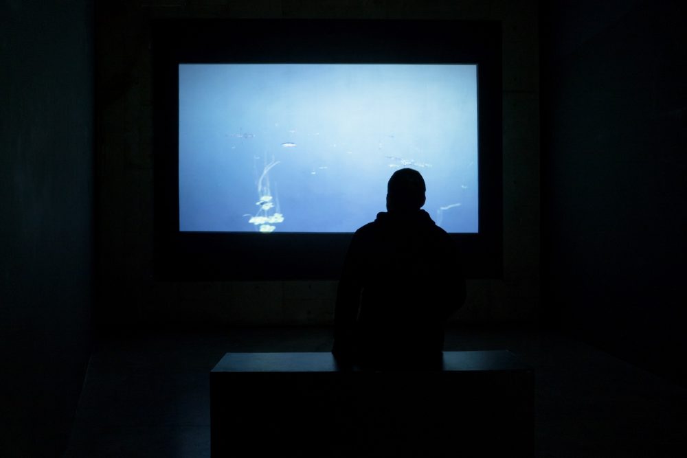 03-GRIS-nicolas-rupcich_2018