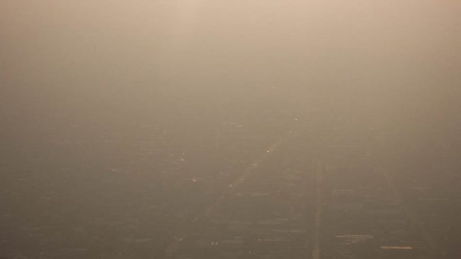 10_designed-territory