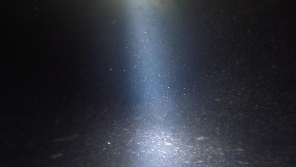 image-corpses_nicolas-rupcich-2020-2