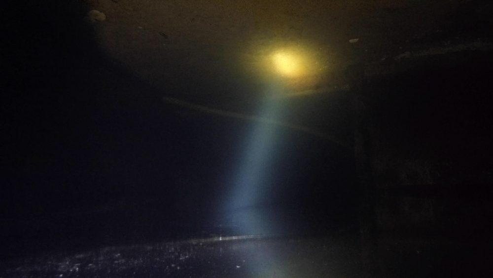 image-corpses_nicolas-rupcich-2020-6