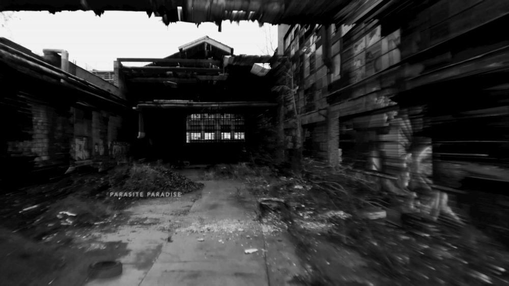 parasite-paradise-still_nicolas-rupcich-2020-1