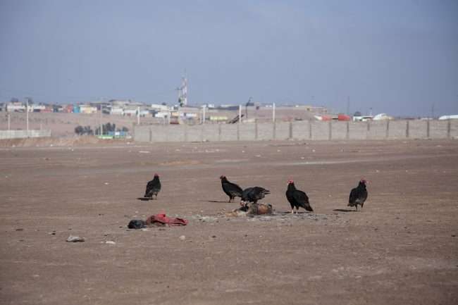 IMG_9537-jotes_rupcich_web